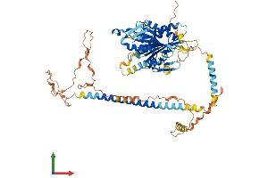 AlphaFold protein structure predicition of Human Recombinant KIF12 Protein, UniprotID Q96FN5