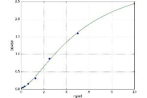 Dual Oxidase 2 (DUOX2) ELISA Kit