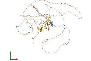 AlphaFold protein structure predicition of Mouse Recombinant Ccdc8 Protein, UniprotID D3YZV8