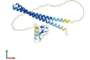 AlphaFold protein structure predicition of Mouse Recombinant Ing1 Protein, UniprotID Q9QXV3