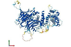AlphaFold protein structure predicition of Mouse Recombinant Med16 Protein, UniprotID Q6PGF3