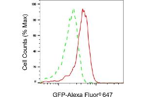 anti-GFP Tag antibody