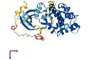 AlphaFold protein structure predicition of Mouse Recombinant Cdk20 Protein, UniprotID Q9JHU3