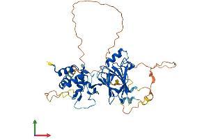 AlphaFold protein structure predicition of Mouse Recombinant Smad7 Protein, UniprotID O35253