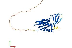 AlphaFold protein structure predicition of Mouse Recombinant Mocs2 Protein, UniprotID Q9Z223