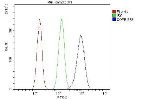 Flow Cytometry analysis of A431 cells using anti-COPE antibody (ABIN7602509). (COPE anticorps  (AA 80-308))