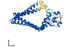 AlphaFold protein structure predicition of Human Recombinant TSPAN1 Protein, UniprotID O60635