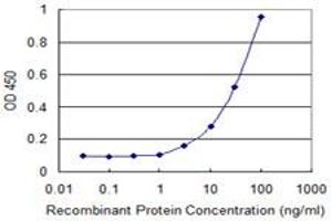 Detection limit for recombinant GST tagged FOXM1 is 1 ng/ml as a capture antibody. (FOXM1 anticorps  (AA 22-110))