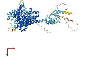 AlphaFold protein structure predicition of Mouse Recombinant Slc26a7 Protein, UniprotID Q8R2Z3