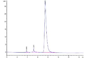 The purity of Human TNFRSF11A is greater than 95 % as determined by SEC-HPLC. (TNFRSF11A Protein (AA 30-212) (Fc Tag))