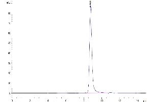 The purity of Rhesus macaque CD4 is greater than 95 % as determined by SEC-HPLC.