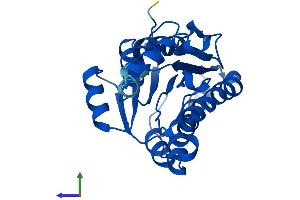 AlphaFold protein structure predicition of Mouse Recombinant Cbr2 Protein, UniprotID P08074