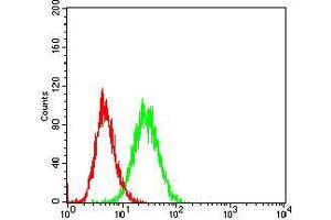 Flow cytometric analysis of Hela cells using CD36 mouse mAb (green) and negative control (red).