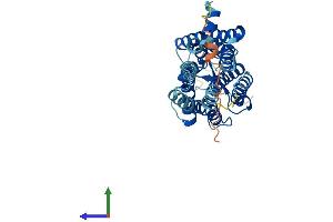 AlphaFold protein structure predicition of Mouse Recombinant Opn1sw Protein, UniprotID P51491
