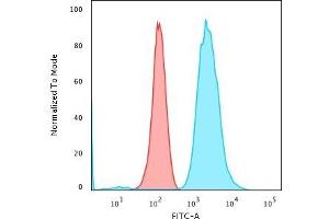 Flow Cytometric Analysis of PFA-fixed K562 cells using Fascin-1 Mouse Monoclonal Antibody (FSCN1/418) followed by Goat anti-Mouse IgG-CF488 (Blue); Isotype Control (Red)
