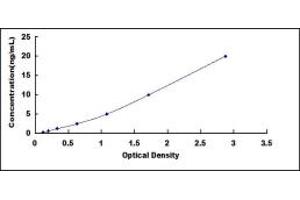 ELISA image for Solute Carrier Family 15 (Oligopeptide Transporter), Member 1 (SLC15A1) ELISA Kit (ABIN420055)