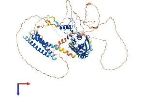 AlphaFold protein structure predicition of Human Recombinant CNOT3 Protein, UniprotID O75175