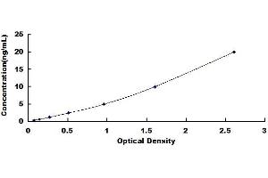 alpha 1, 4-Galactosyltransferase (A4GALT) ELISA Kit