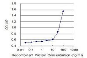 IGKC (Human) Matched Antibody Pair