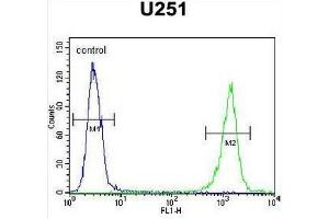 GPAA1 Antibody (N-term) flow cytometric analysis of U251 cells (right histogram) compared to a negative control cell (left histogram). (GPAA1 anticorps  (N-Term))