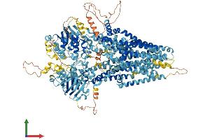 AlphaFold protein structure predicition of Mouse Recombinant Cftr Protein, UniprotID P26361
