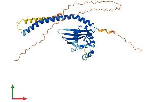 AlphaFold protein structure predicition of Human Recombinant TSPY4 Protein, UniprotID P0CV99