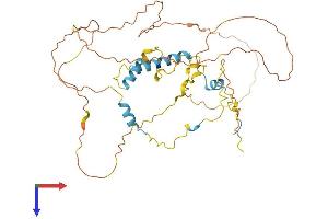AlphaFold protein structure predicition of Human Recombinant S100PBP Protein, UniprotID Q96BU1