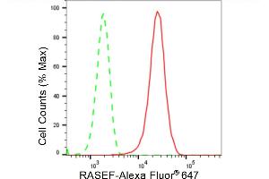 Flow cytometric analysis of RASEF expression in HepG2 cells using RASEF antibody (ABIN7800137), 1:2,000). (Recombinant RASEF anticorps)