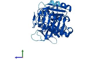 AlphaFold protein structure predicition of Human Recombinant GMPPB Protein, UniprotID Q9Y5P6
