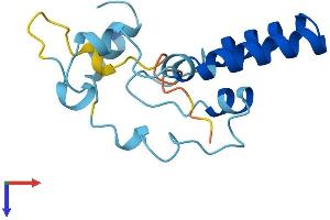 AlphaFold protein structure predicition of Mouse Recombinant Pomp Protein, UniprotID Q9CQT5