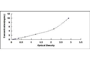 Typical standard curve (CTNNB1 Kit ELISA)