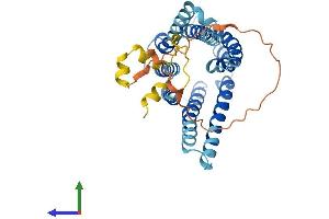 AlphaFold protein structure predicition of Mouse Recombinant Tmem185a Protein, UniprotID A2AF53