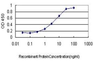 Detection limit for recombinant GST tagged PPM1F is approximately 0. (PPM1F anticorps  (AA 1-100))