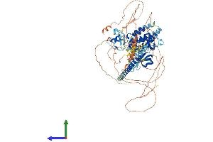 AlphaFold protein structure predicition of Mouse Recombinant Map3k11 Protein, UniprotID Q80XI6