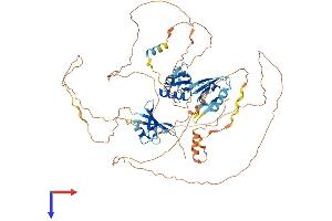 AlphaFold protein structure predicition of Human Recombinant DVL2 Protein, UniprotID O14641