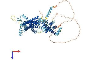 AlphaFold protein structure predicition of Mouse Recombinant Ndc1 Protein, UniprotID Q8VCB1