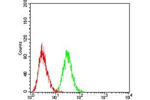 Flow cytometric analysis of Jurkat cells using LHCGR mouse mAb (green) and negative control (red).