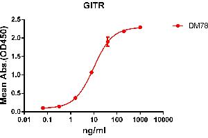 ELISA plate pre-coated by 2 μg/mL (100 μL/well) Human GITR protein, hFc-His tagged protein ABIN6961091, ABIN7042211 and ABIN7042212 can bind Rabbit anti-GITR monoclonal antibody  (clone: DM78) in a linear range of 1-100 ng/mL.