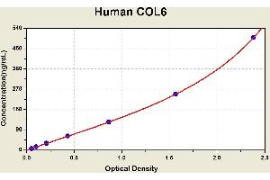 Diagramm of the ELISA kit to detect Human COL6with the optical density on the x-axis and the concentration on the y-axis.