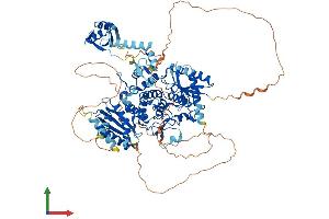 AlphaFold protein structure predicition of Human Recombinant TUT1 Protein, UniprotID Q9H6E5
