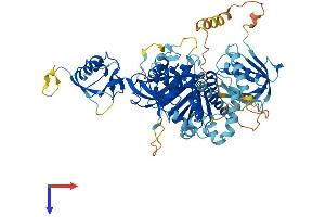 AlphaFold protein structure predicition of Human Recombinant FERMT3 Protein, UniprotID Q86UX7