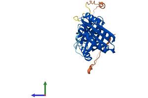 AlphaFold protein structure predicition of Human Recombinant NIPSNAP1 Protein, UniprotID Q9BPW8