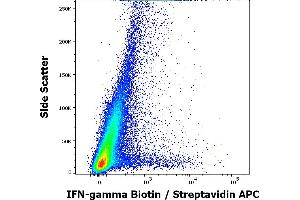 Flow cytometry intracellular staining pattern of human peripheral whole blood (PHA stimulated and Brefeldin A + Monesin treated) stained using anti-human IFN-gamma (4S. (Interferon gamma anticorps  (Biotin))