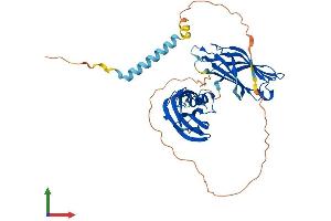 AlphaFold protein structure predicition of Human Recombinant SYT7 Protein, UniprotID O43581