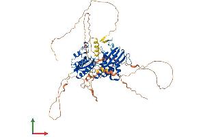 AlphaFold protein structure predicition of Human Recombinant PIP5K1C Protein, UniprotID O60331