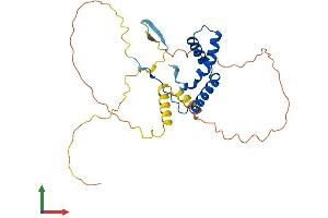 AlphaFold protein structure predicition of Mouse Recombinant Sox21 Protein, UniprotID Q811W0