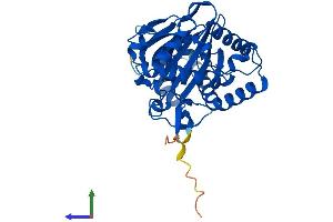 AlphaFold protein structure predicition of Human Recombinant OGFOD2 Protein, UniprotID Q6N063