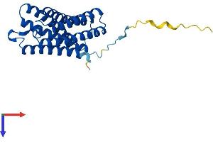 AlphaFold protein structure predicition of Human Recombinant TMEM150B Protein, UniprotID A6NC51