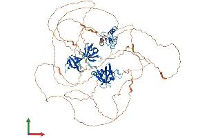 AlphaFold protein structure predicition of Mouse Recombinant Sh3rf1 Protein, UniprotID Q69ZI1