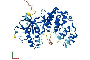 AlphaFold protein structure predicition of Mouse Recombinant Mapk11 Protein, UniprotID Q9WUI1